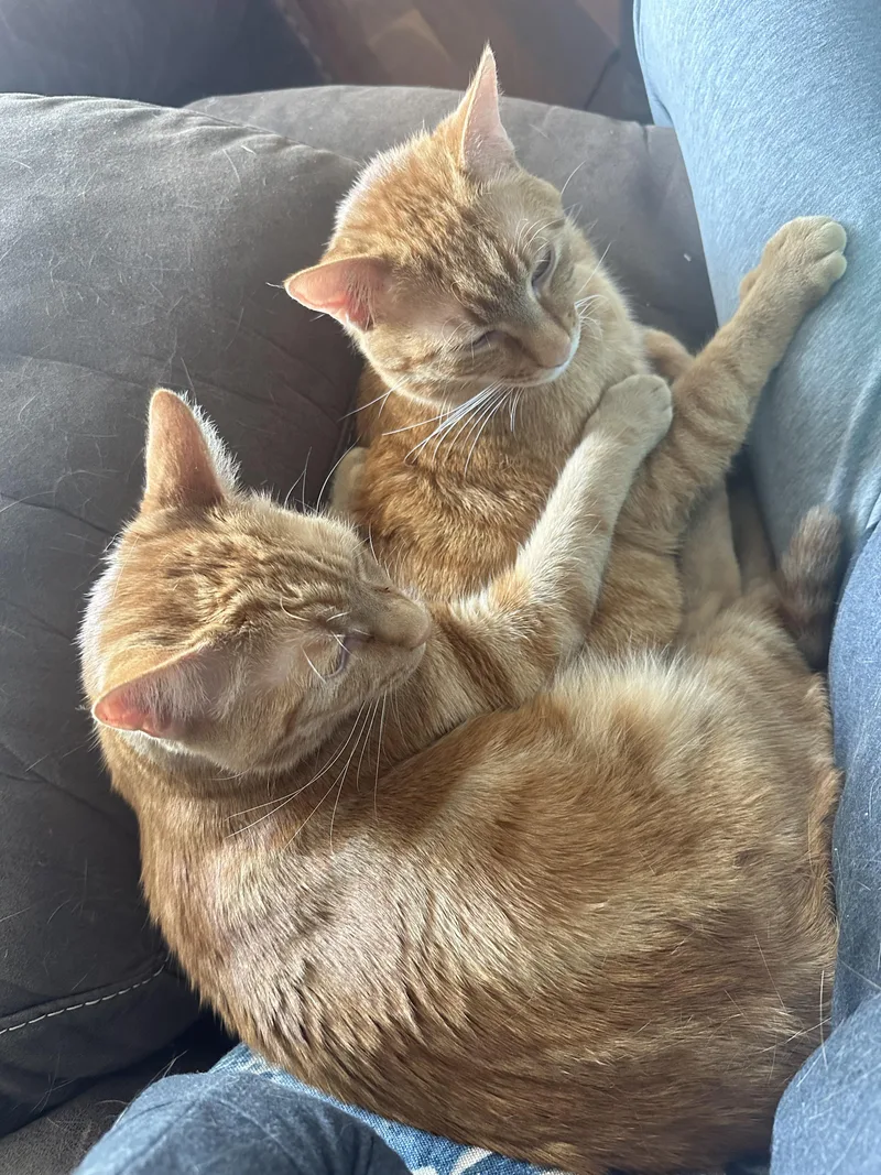 Boggs And Haller Indoor thumbnail 4