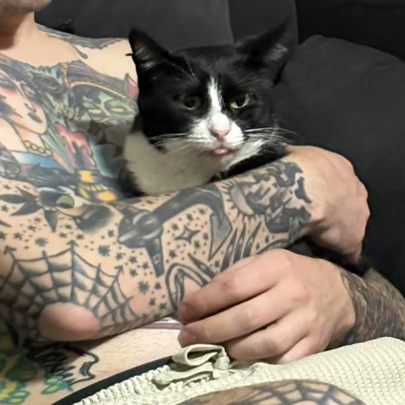 Tuxedo thumbnail 2