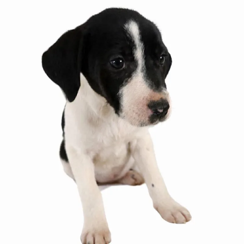 Meredith Grey thumbnail 2