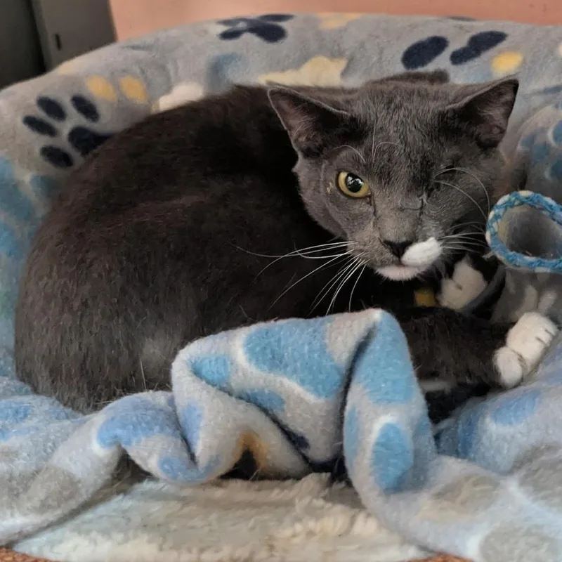 Mama Bonnet thumbnail 3