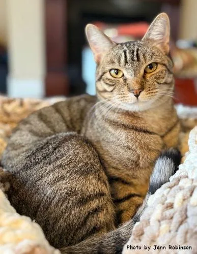 Munchkin thumbnail 2