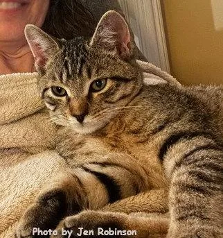 Munchkin thumbnail 3