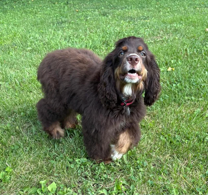 Elwood