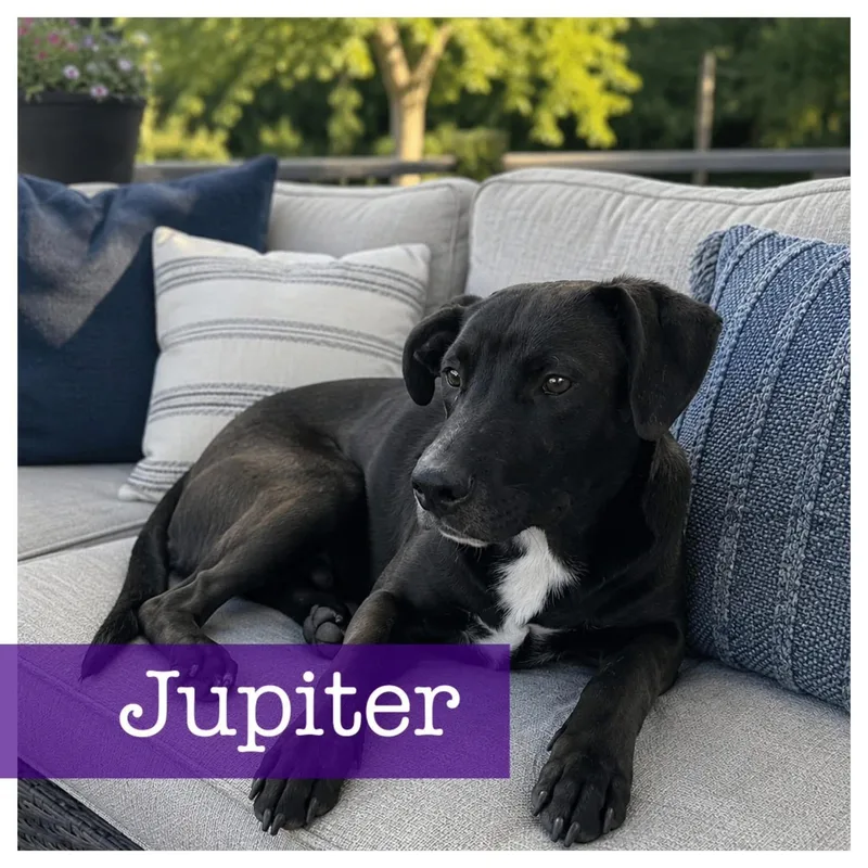 Jupiter thumbnail 2
