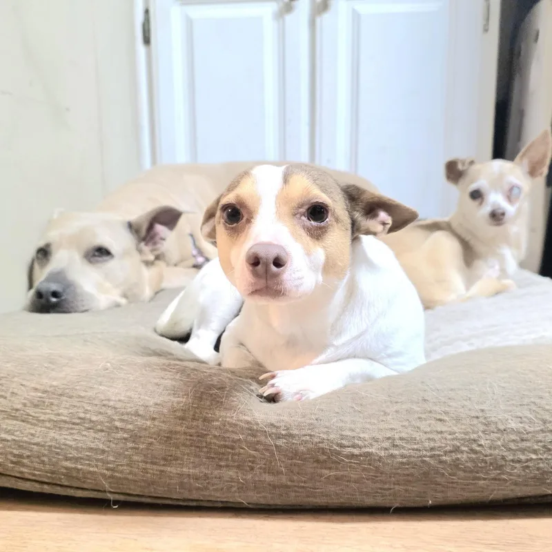 Vicky Affectionate And Sweet thumbnail 2