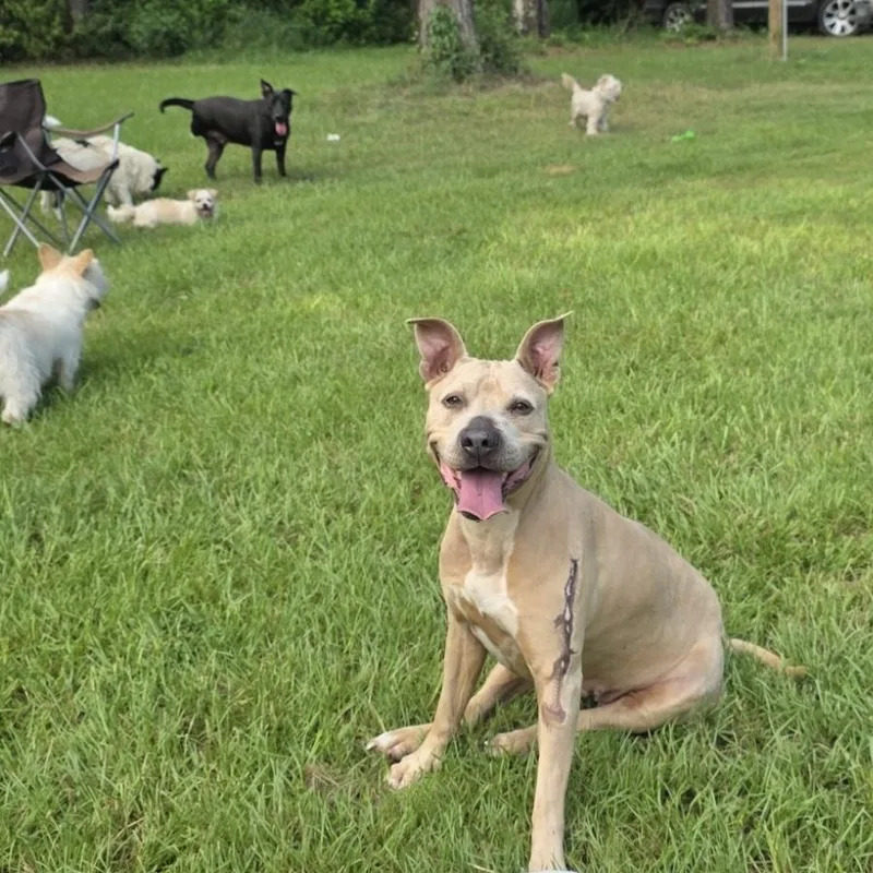 Vicky Affectionate And Sweet thumbnail 3