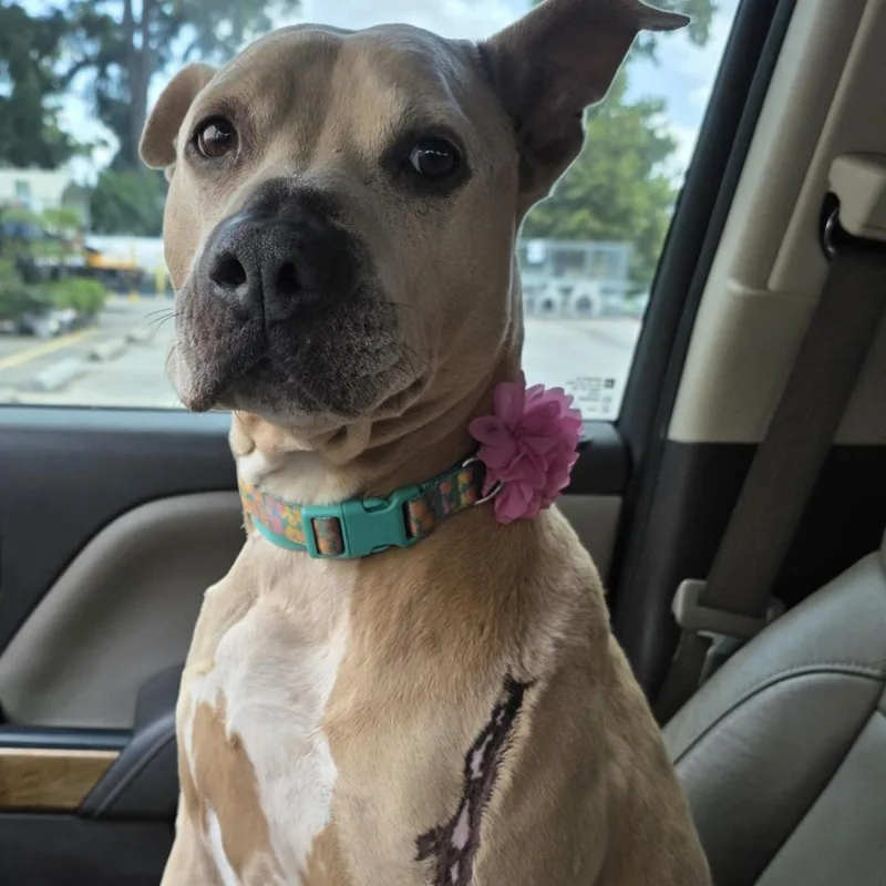 Vicky Affectionate And Sweet thumbnail 4