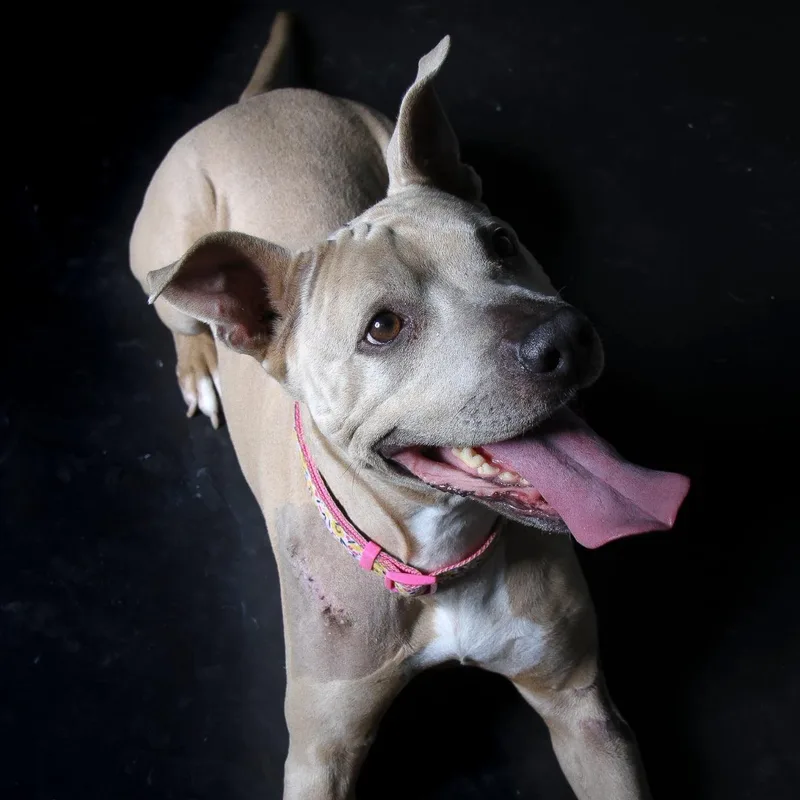 Vicky Affectionate And Sweet thumbnail 5