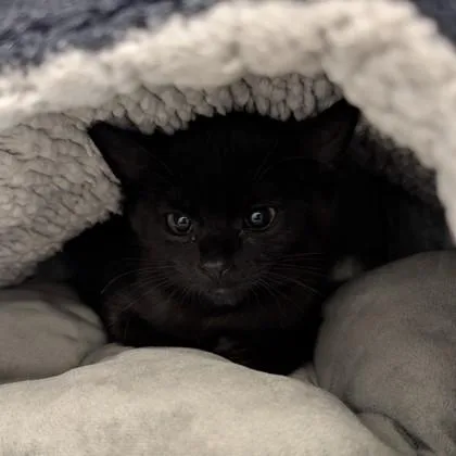 Winnie