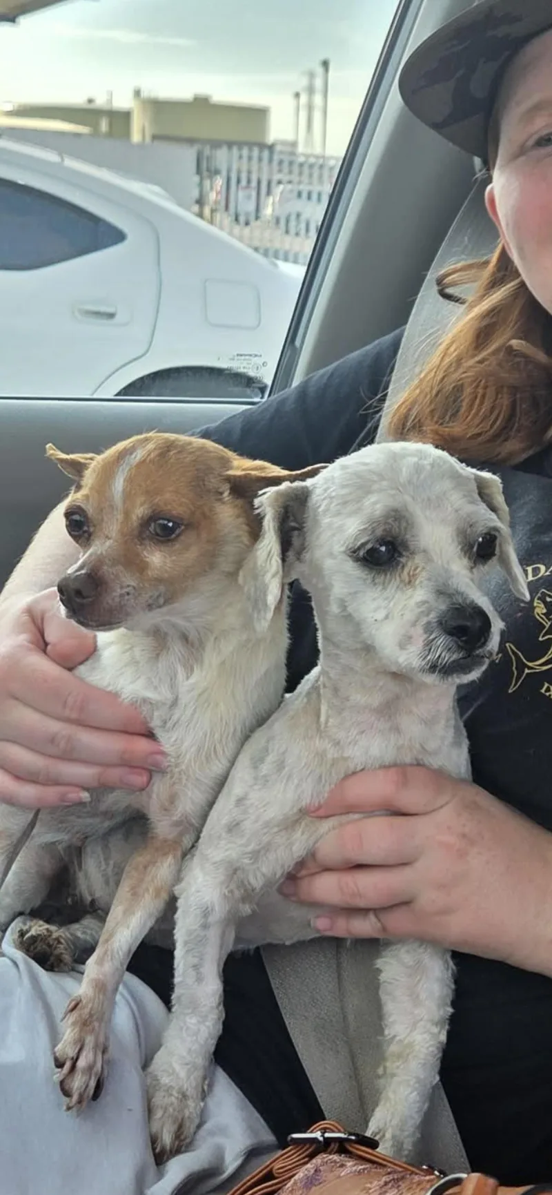 Lulu Aka Lucy thumbnail 4