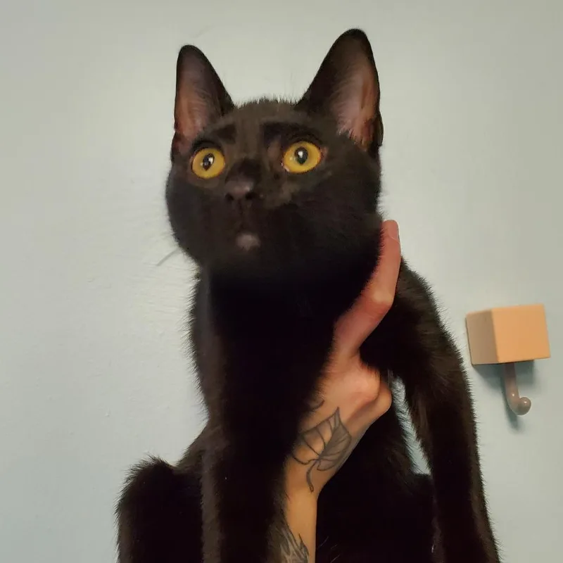 Soot Sprite thumbnail 4