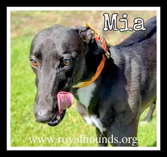 Mia