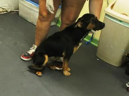 Zeus