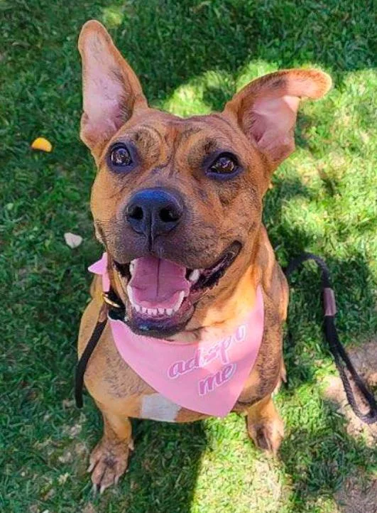 Avia~ Dainty Cuddle Bug thumbnail 3