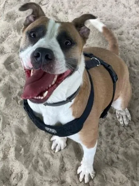 Chloe