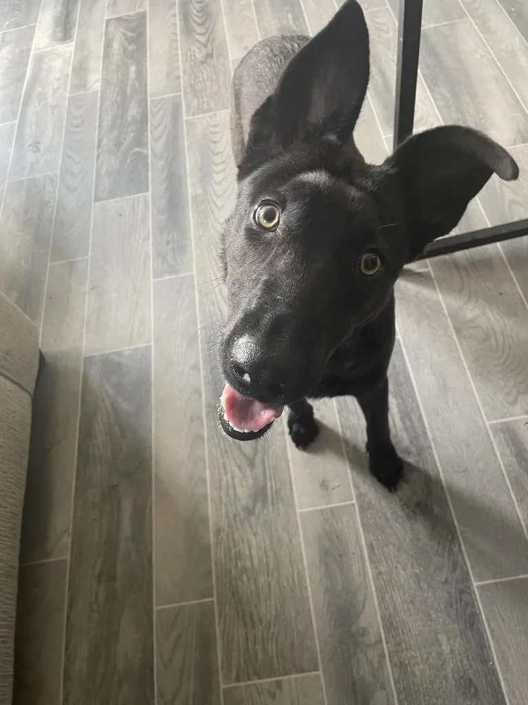 Kita