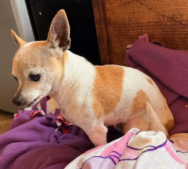 Faith Hill thumbnail 2