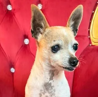 Faith Hill thumbnail 3