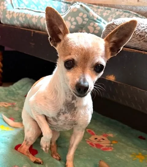 Faith Hill thumbnail 4