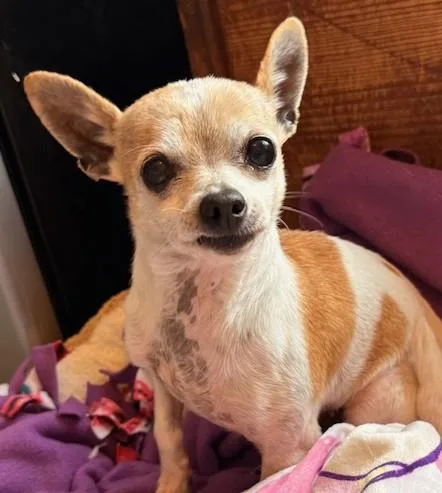 Faith Hill thumbnail 5