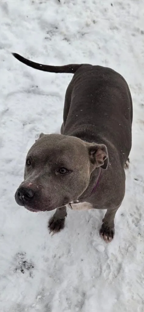 Precious thumbnail 2