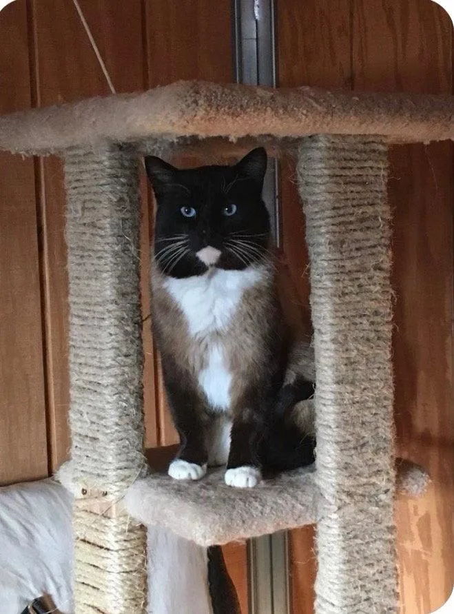 Frankie
