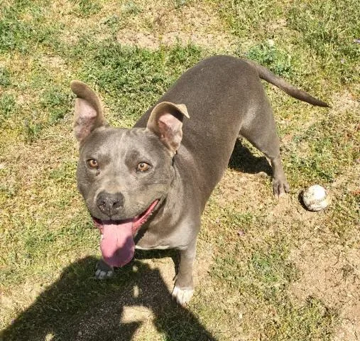 Cordelia thumbnail 2