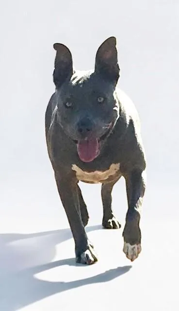 Cordelia thumbnail 3