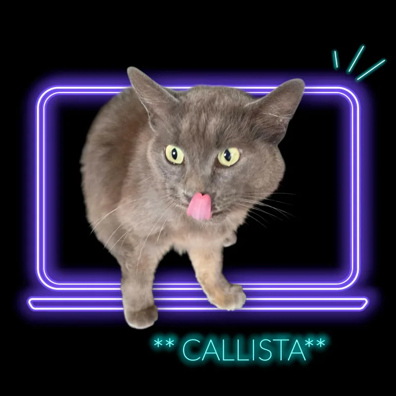 Calista thumbnail 3