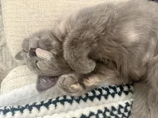 Louise thumbnail 2