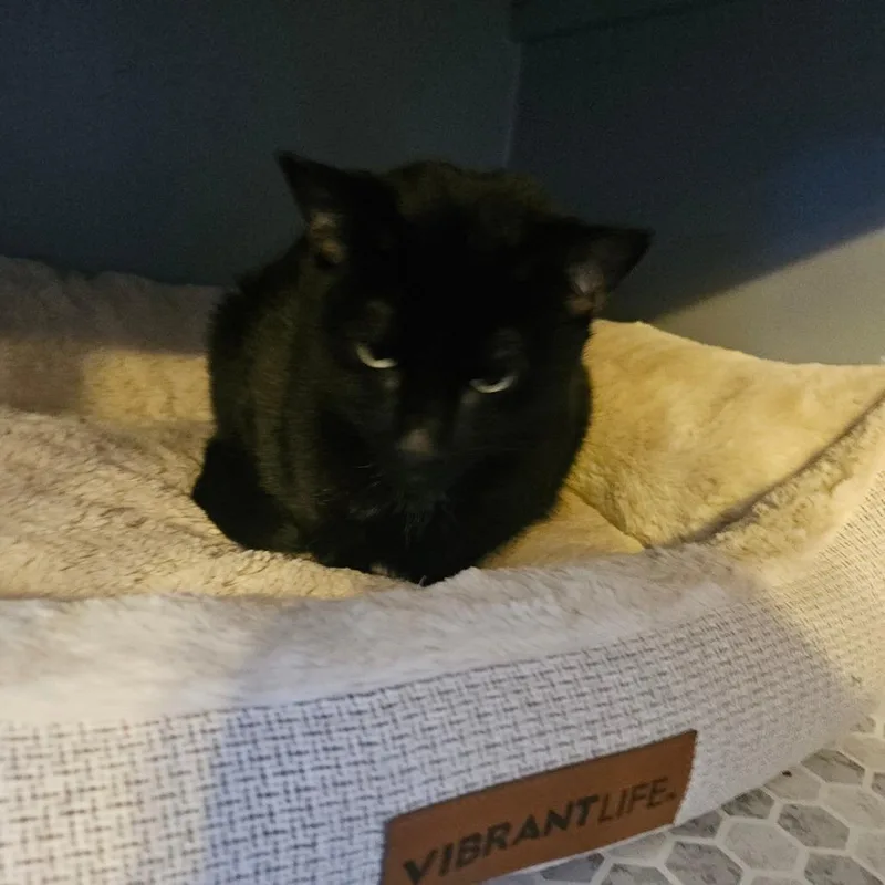 Missy From The Block