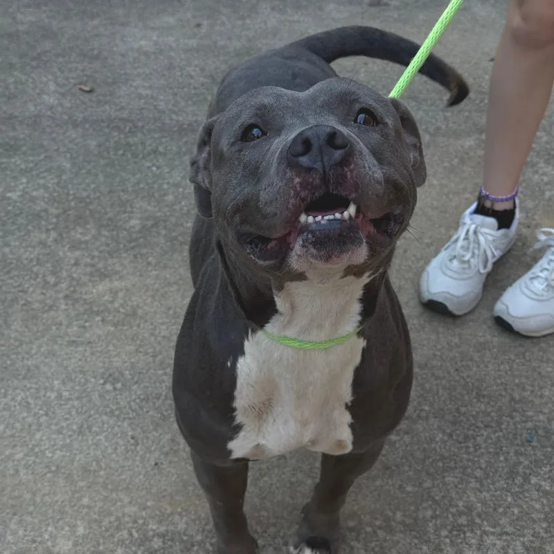 Happy Meal thumbnail 5