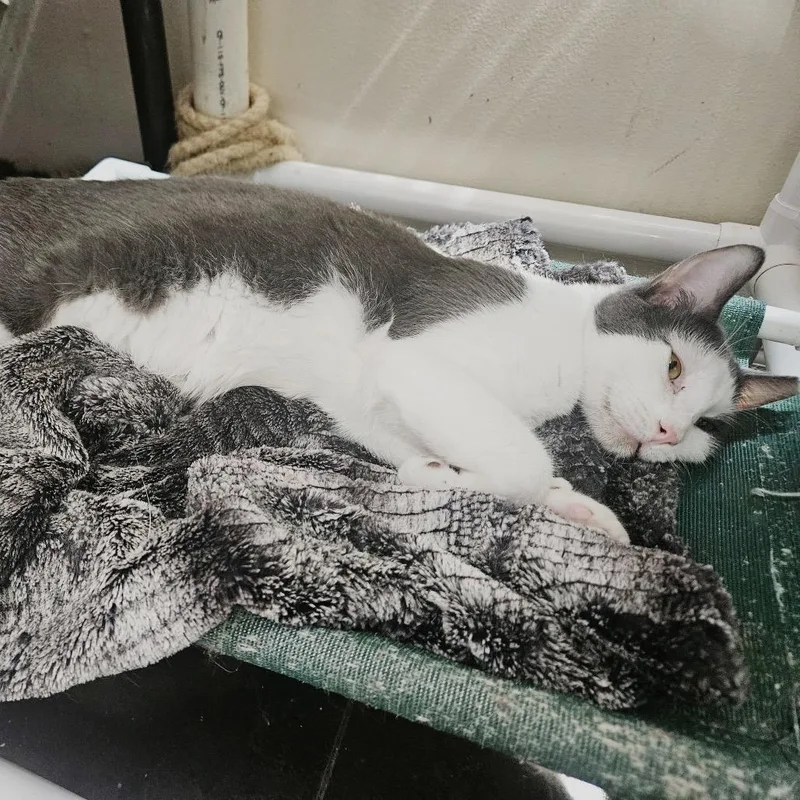 Dre thumbnail 6