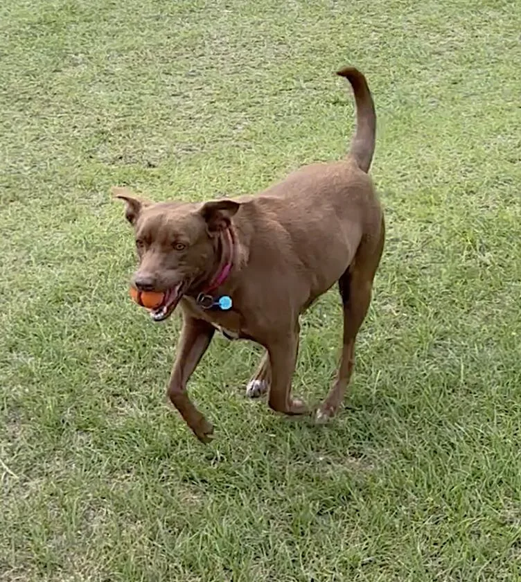 Patty thumbnail 4