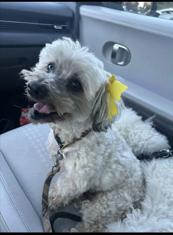 Chiquita thumbnail 2