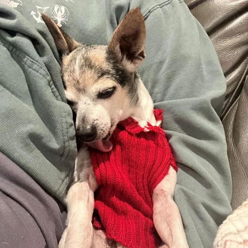 Inigo Montoya thumbnail 2