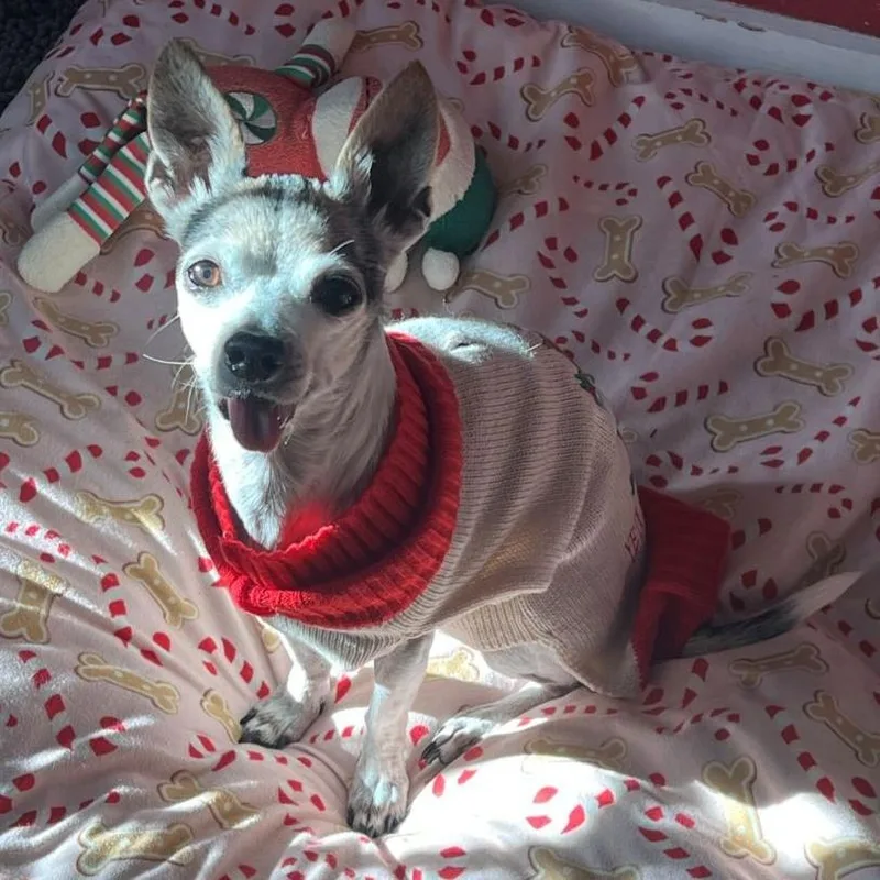 Inigo Montoya thumbnail 3