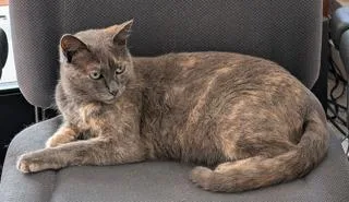 Gemma  Gorgeous Explorer