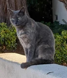 Gemma  Gorgeous Explorer thumbnail 2