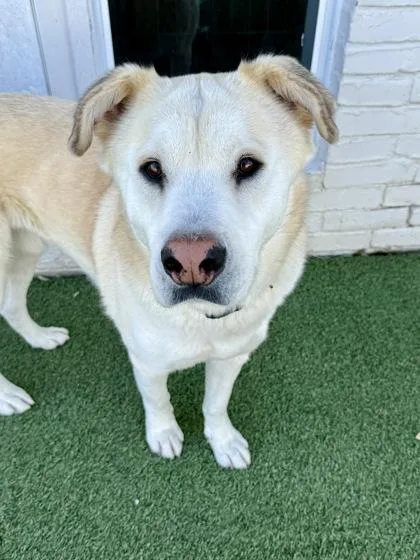 Crawford thumbnail 2