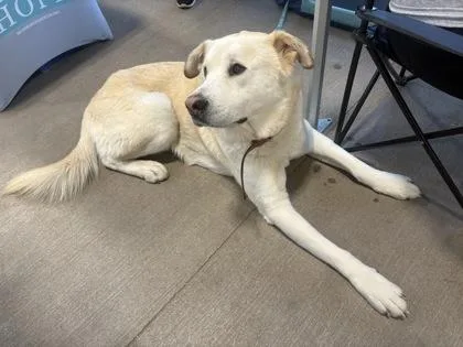 Crawford thumbnail 3