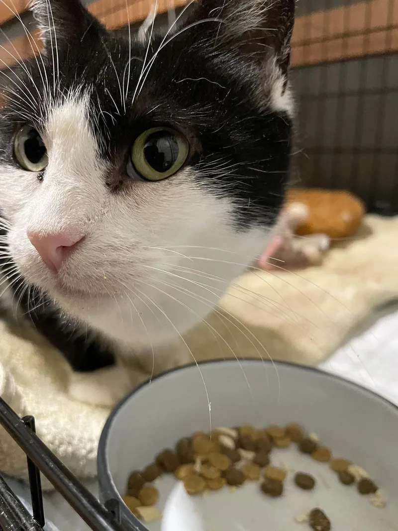 Patricia Paxon thumbnail 2