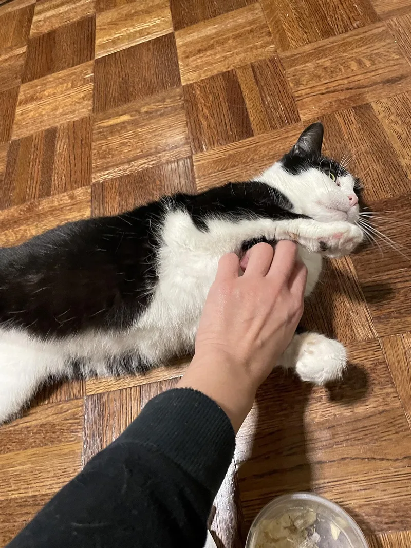 Patricia Paxon thumbnail 4