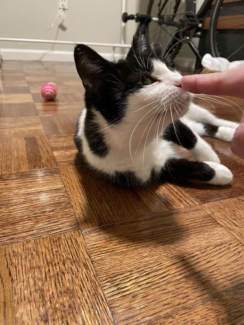 Patricia Paxon thumbnail 5