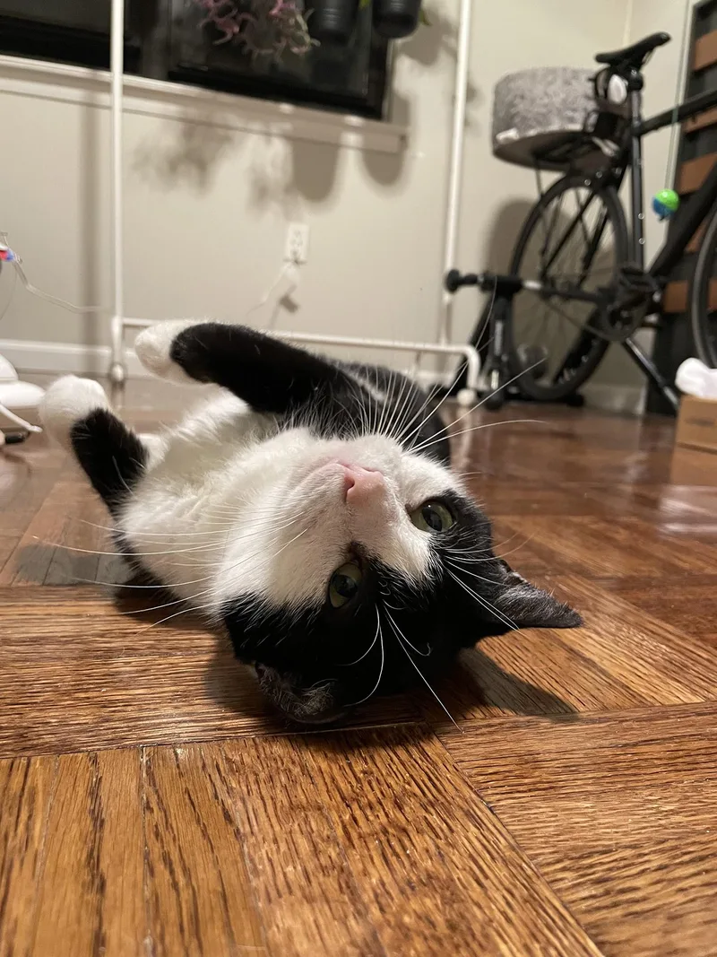 Patricia Paxon thumbnail 6