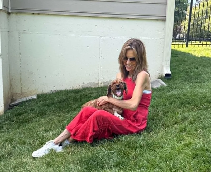 An adult small-sized female Cockapoo dog named Lucy Lu for adoption in Havertown, PA