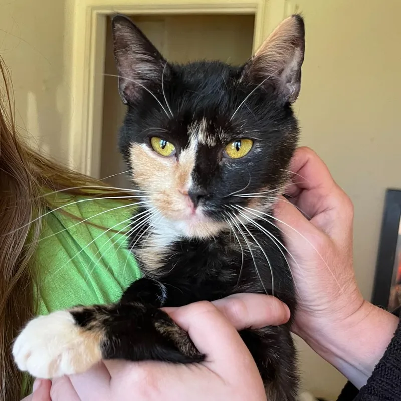 Bear Rayburn thumbnail 4