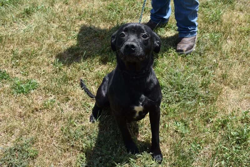 Maggie