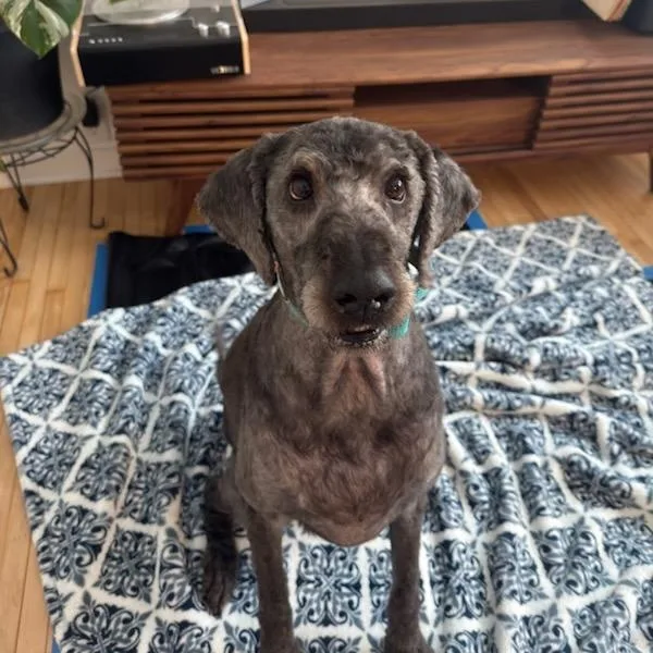 Tucker Courtesy Listing