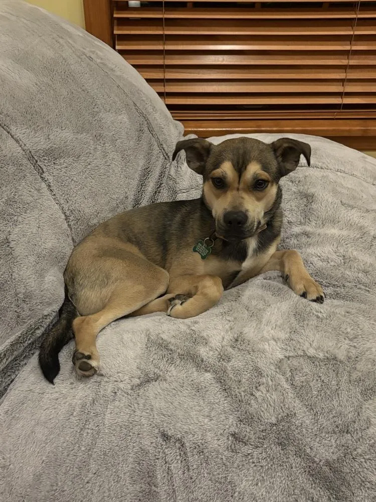 Kristoff thumbnail 2